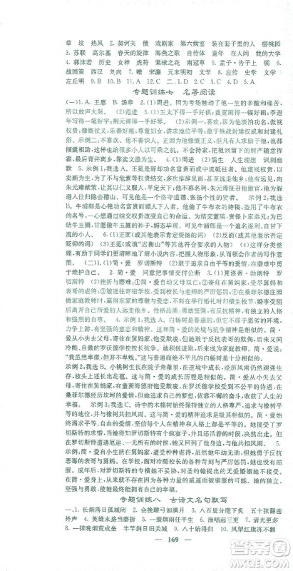 四川大学出版社2021名校课堂内外语文九年级下册人教版答案