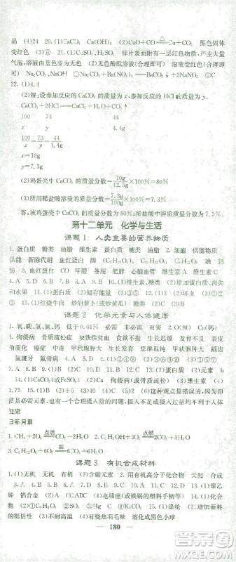 四川大学出版社2021名校课堂内外化学九年级下册人教版答案