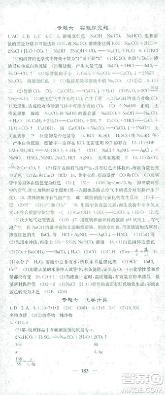 四川大学出版社2021名校课堂内外化学九年级下册人教版答案