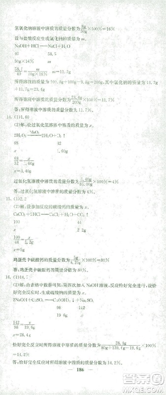 四川大学出版社2021名校课堂内外化学九年级下册人教版答案