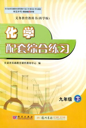 科学出版社2021年化学配套综合练习九年级下册科学版答案