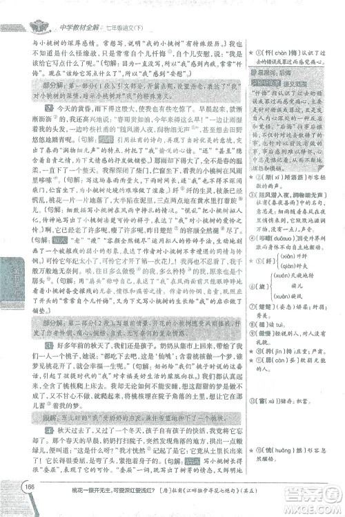 陕西人民教育出版社2021中学教材全解七年级语文下册人教版参考答案 陕西人民教育出版社2021中学教材全解七年级语文下册人教版参考答案