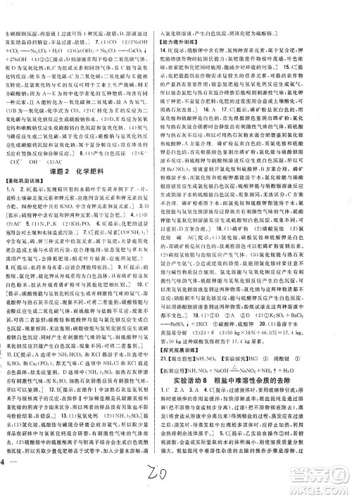 吉林人民出版社2021全科王同步课时练习化学九年级下册新课标人教版答案