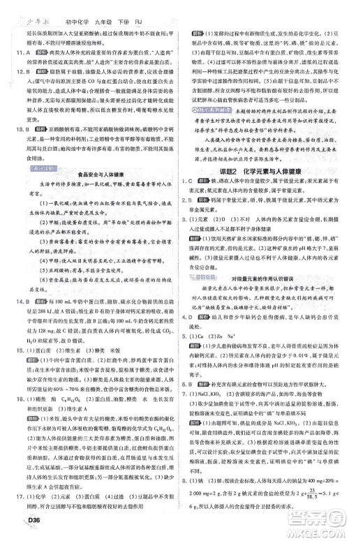 开明出版社2021少年班初中化学九年级下册人教版参考答案