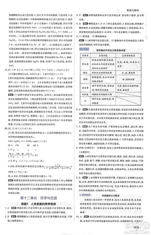 开明出版社2021少年班初中化学九年级下册人教版参考答案