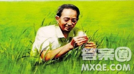 观纪录片袁隆平有感作文400字 关于观纪录片袁隆平有感的作文400字 观纪录片袁隆平有感作文400字 关于观纪录片袁隆平有感的作文400字