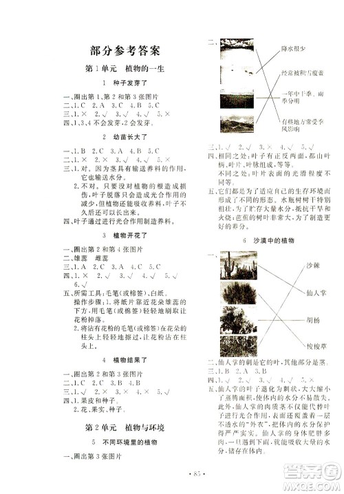 北京教育出版社2021新课堂同步训练科学三年级下册江苏版答案