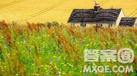 爷爷的菜园小学生作文400字 关于爷爷的菜园的作文400字 爷爷的菜园小学生作文400字 关于爷爷的菜园的作文400字