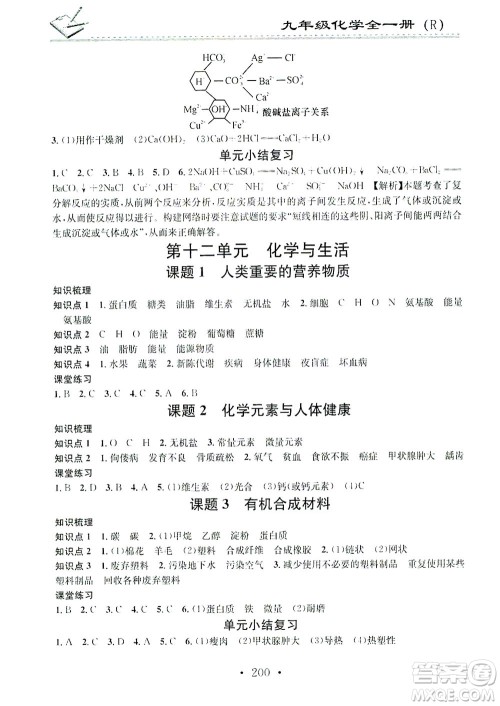 广东经济出版社2021名校课堂小练习化学九年级全一册R人教版答案 广东经济出版社2021名校课堂小练习化学九年级全一册R人教版答案