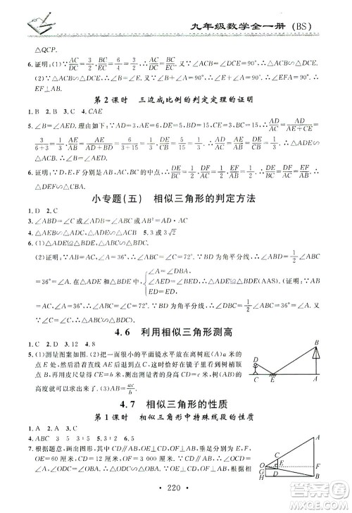 广东经济出版社2021名校课堂小练习数学九年级全一册BS北师大版答案