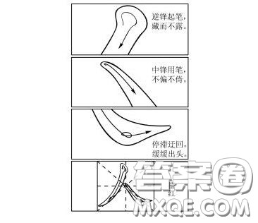 描红唐光雨漫画材料作文800字 关于漫画描红的作文800字