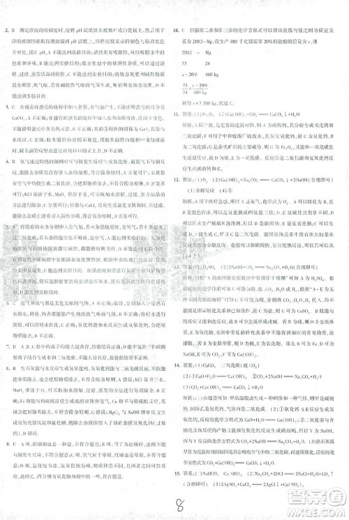 首都师范大学出版社2021年5年中考3年模拟初中试卷化学九年级下册沪教版参考答案