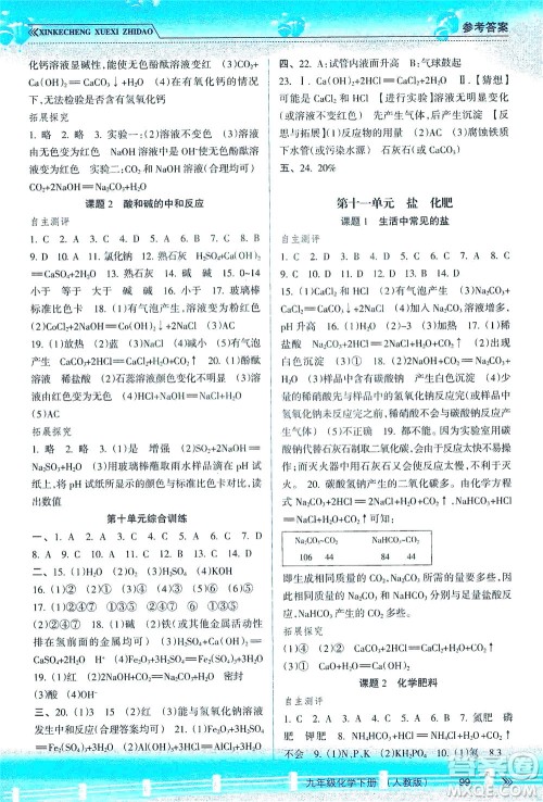 南方出版社2021新课程学习指导化学九年级下册人教版答案