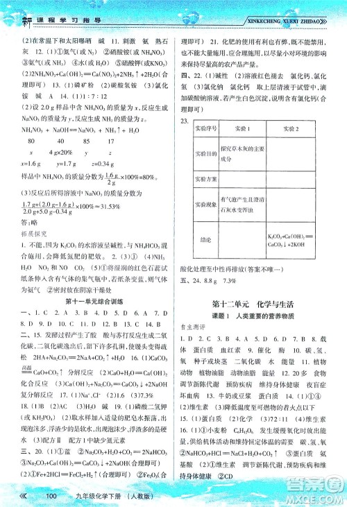 南方出版社2021新课程学习指导化学九年级下册人教版答案