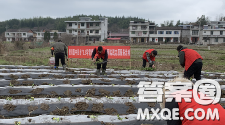 大学生村官心得体会1000字2021最新 关于大学生村官的心得体会1000字