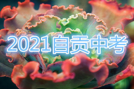 四川省自贡市初2021届毕业生学业考试英语试题及答案