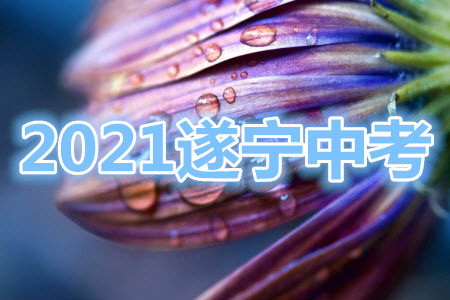 遂宁市2021年初中毕业暨高中阶段学校招生考试英语试卷及答案 遂宁市2021年初中毕业暨高中阶段学校招生考试英语试卷及答案