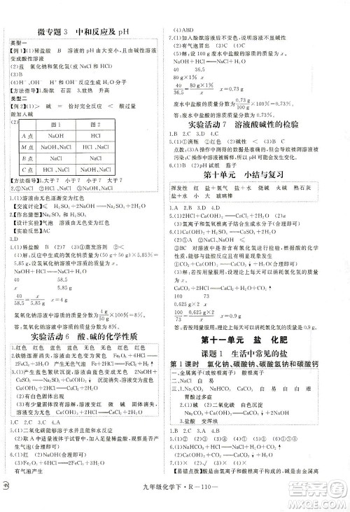 延边大学出版社2021学练优化学九年级下册人教版河南专版答案