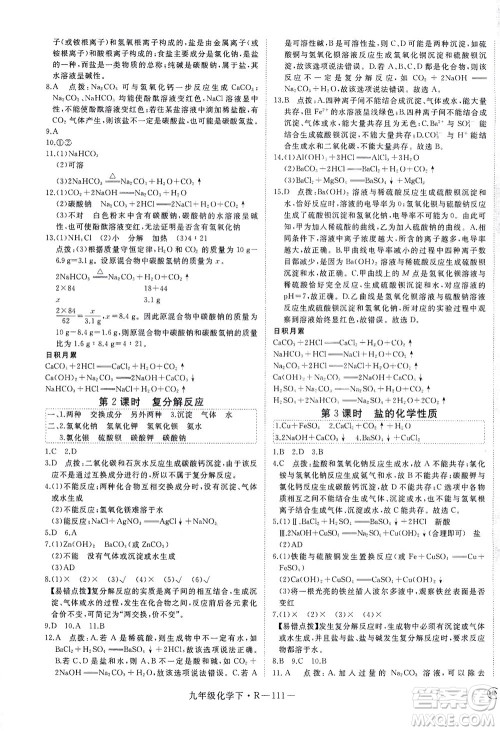 延边大学出版社2021学练优化学九年级下册人教版河南专版答案