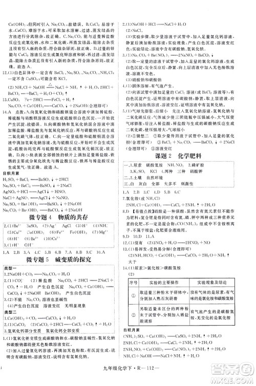 延边大学出版社2021学练优化学九年级下册人教版河南专版答案