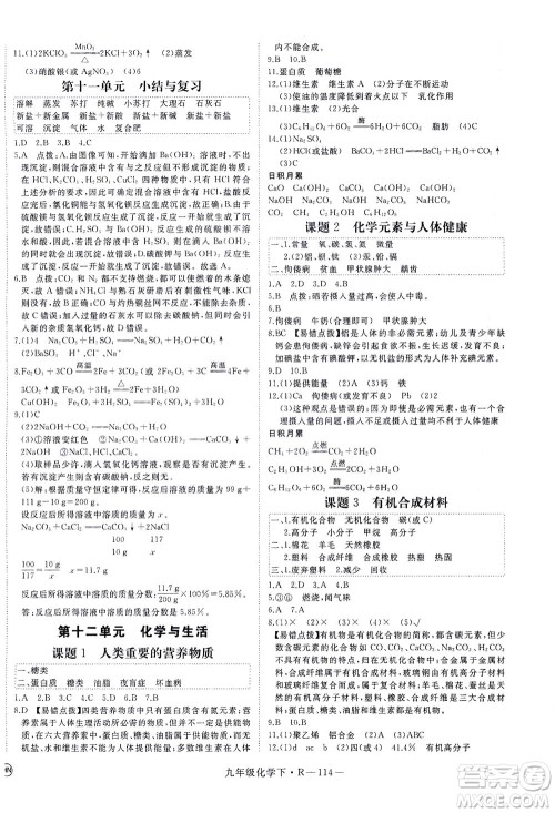 延边大学出版社2021学练优化学九年级下册人教版河南专版答案