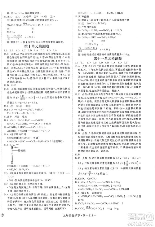 延边大学出版社2021学练优化学九年级下册人教版河南专版答案