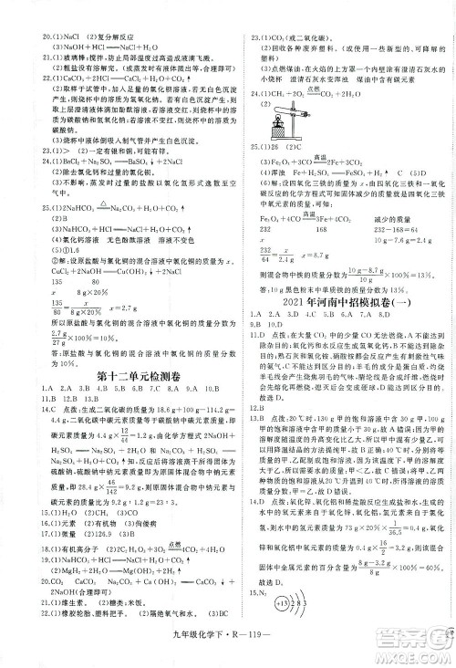 延边大学出版社2021学练优化学九年级下册人教版河南专版答案