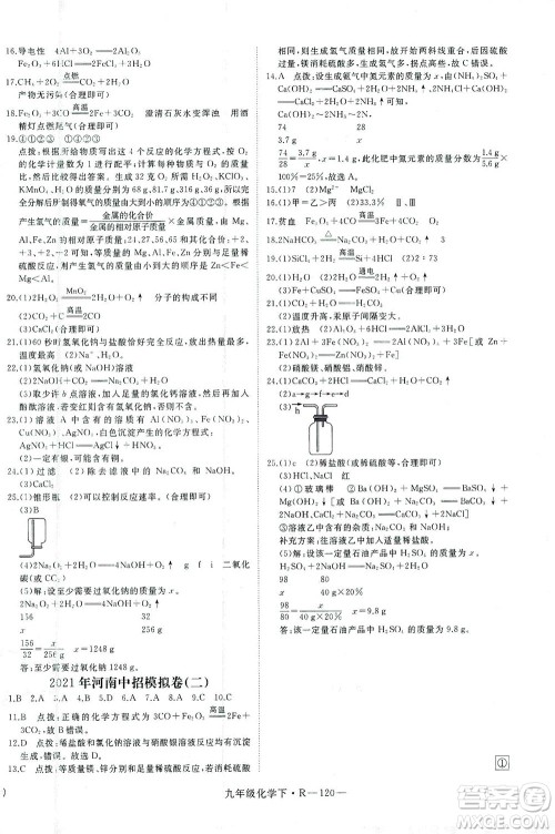 延边大学出版社2021学练优化学九年级下册人教版河南专版答案