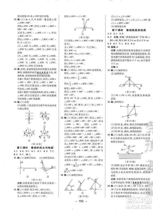 陕西人民教育出版社2021典中点七年级下册数学北师大版参考答案