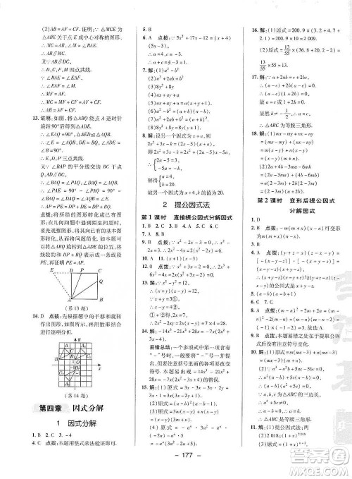 陕西人民教育出版社2021典中点八年级下册数学北师大版参考答案