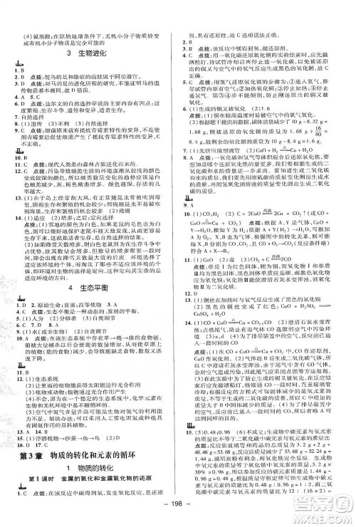 陕西人民教育出版社2021典中点九年级全一册科学华师版参考答案