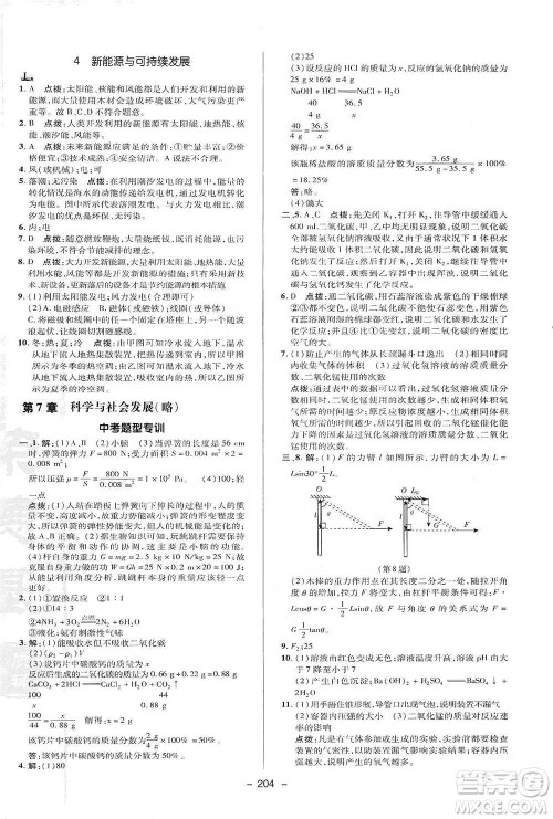 陕西人民教育出版社2021典中点九年级全一册科学华师版参考答案