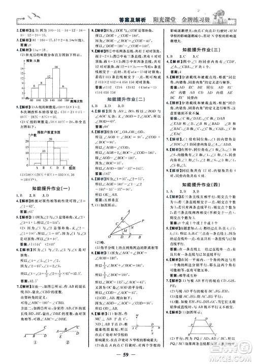 人民教育出版社2021阳光课堂金牌练习册数学七年级下册人教版答案