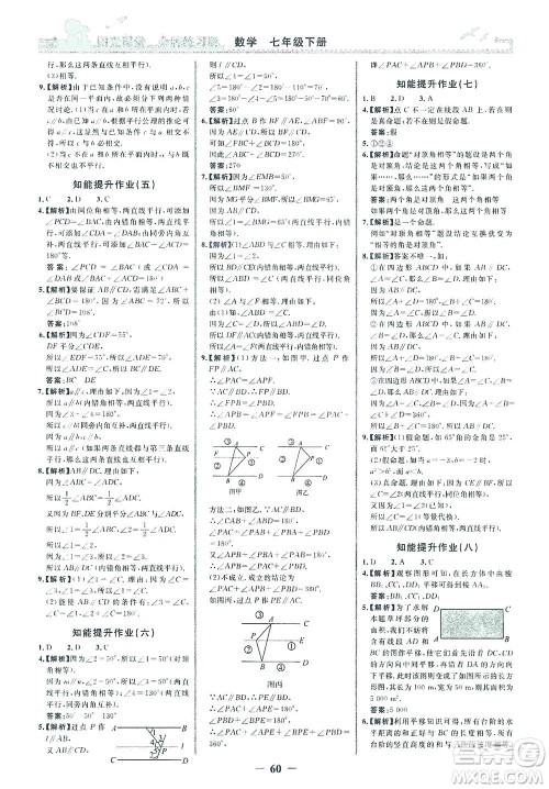 人民教育出版社2021阳光课堂金牌练习册数学七年级下册人教版答案