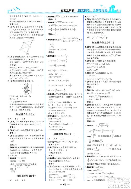 人民教育出版社2021阳光课堂金牌练习册数学七年级下册人教版答案