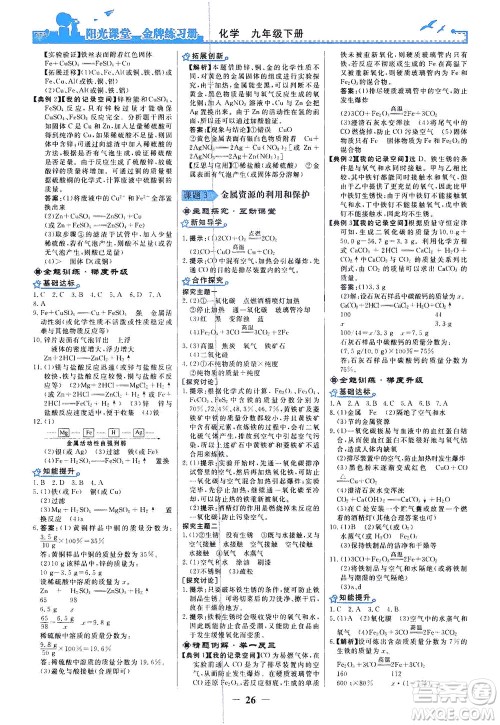 人民教育出版社2021阳光课堂金牌练习册化学九年级下册人教版答案