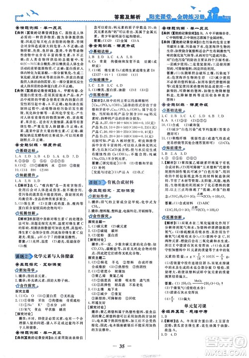 人民教育出版社2021阳光课堂金牌练习册化学九年级下册人教版答案