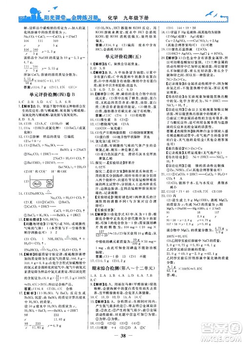 人民教育出版社2021阳光课堂金牌练习册化学九年级下册人教版答案