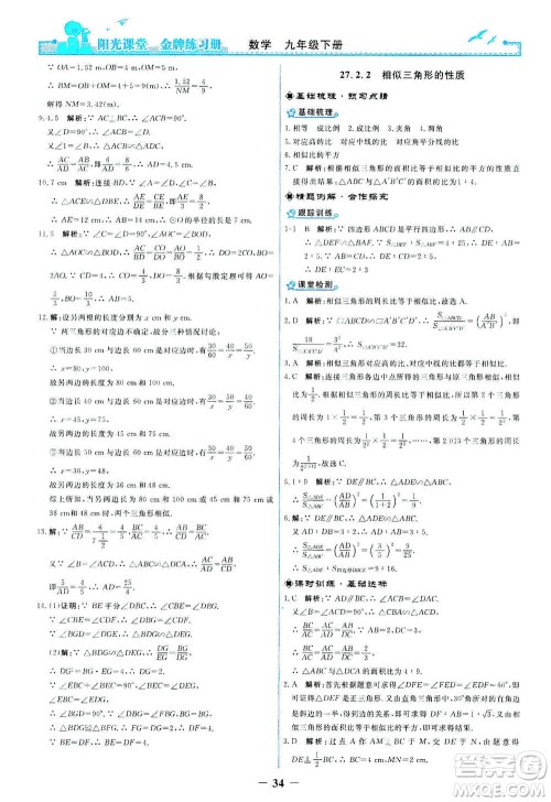 人民教育出版社2021阳光课堂金牌练习册数学九年级下册人教版答案