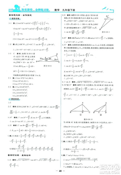 人民教育出版社2021阳光课堂金牌练习册数学九年级下册人教版答案