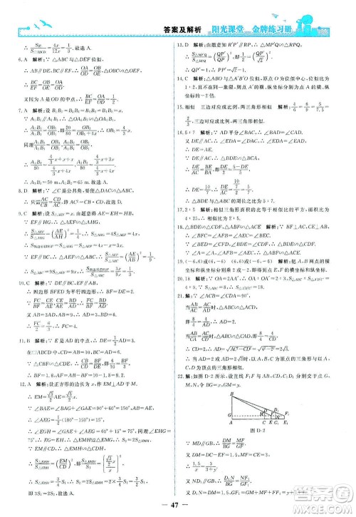 人民教育出版社2021阳光课堂金牌练习册数学九年级下册人教版答案