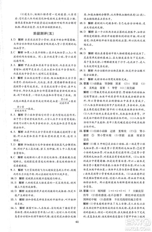 现代教育出版社2021初中同步学考优化设计七年级生物下册RJ人教版答案 现代教育出版社2021初中同步学考优化设计七年级生物下册RJ人教版答案