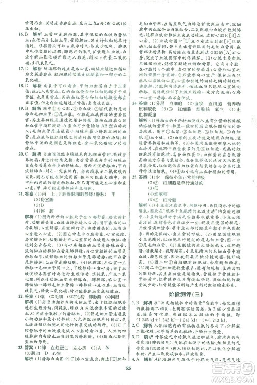 现代教育出版社2021初中同步学考优化设计七年级生物下册BS北师大版答案