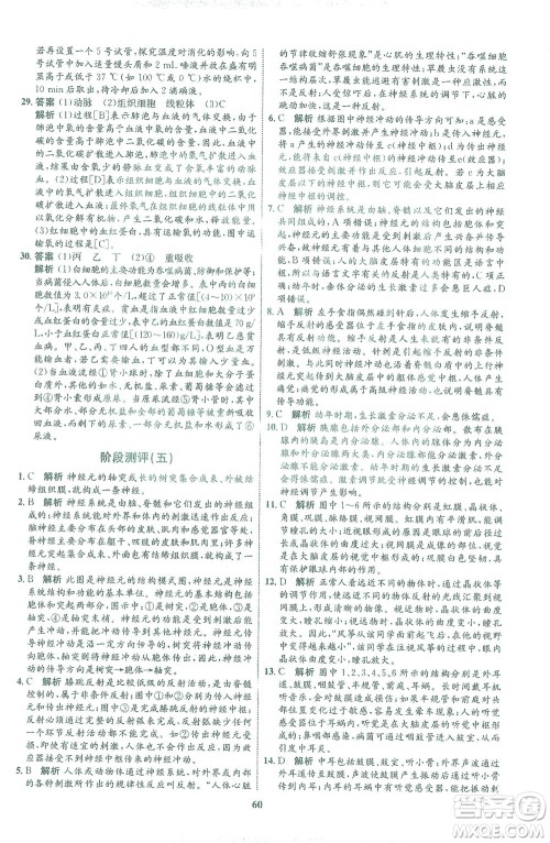 现代教育出版社2021初中同步学考优化设计七年级生物下册BS北师大版答案