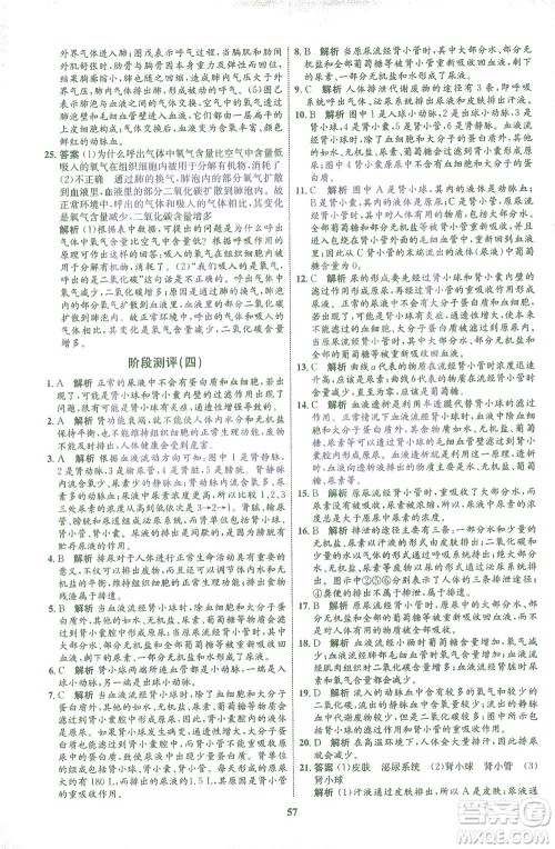 现代教育出版社2021初中同步学考优化设计七年级生物下册BS北师大版答案