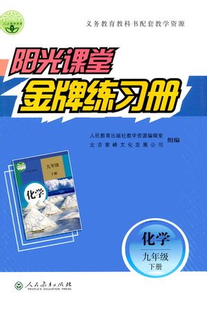 人民教育出版社2021阳光课堂金牌练习册化学九年级下册人教版答案