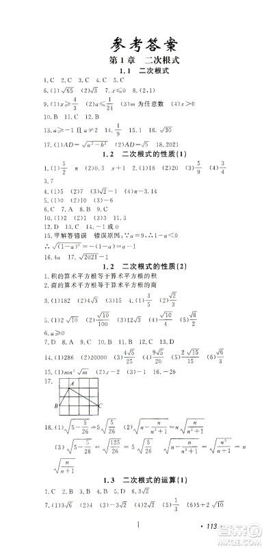 花山文艺出版社2021学科能力达标初中生100全优卷八年级数学下册浙教版答案