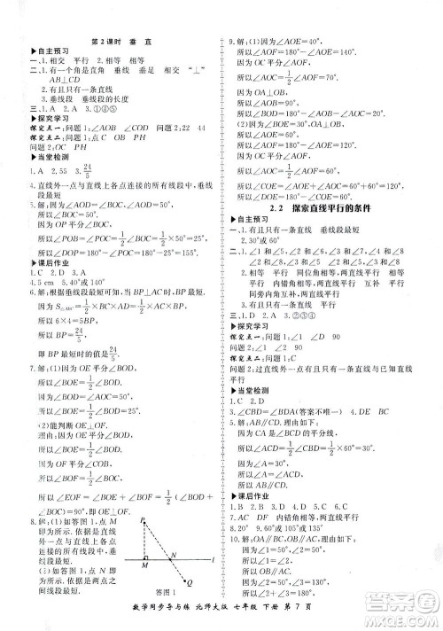 郑州大学出版社2021新学案同步导与练七年级数学下册北师大版答案