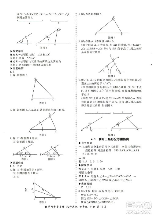 郑州大学出版社2021新学案同步导与练七年级数学下册北师大版答案