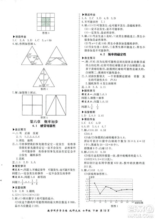 郑州大学出版社2021新学案同步导与练七年级数学下册北师大版答案